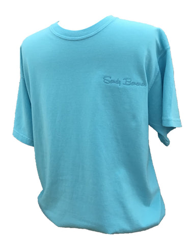 Short Sleeve Tees - Signature Logo - LAGOON BLUE